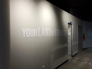 CALIFORNIA GYM – Image 4