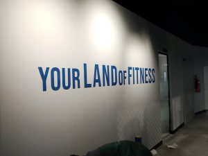 CALIFORNIA GYM – Image 8